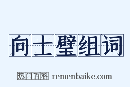 向士璧组词是什么意思的图片